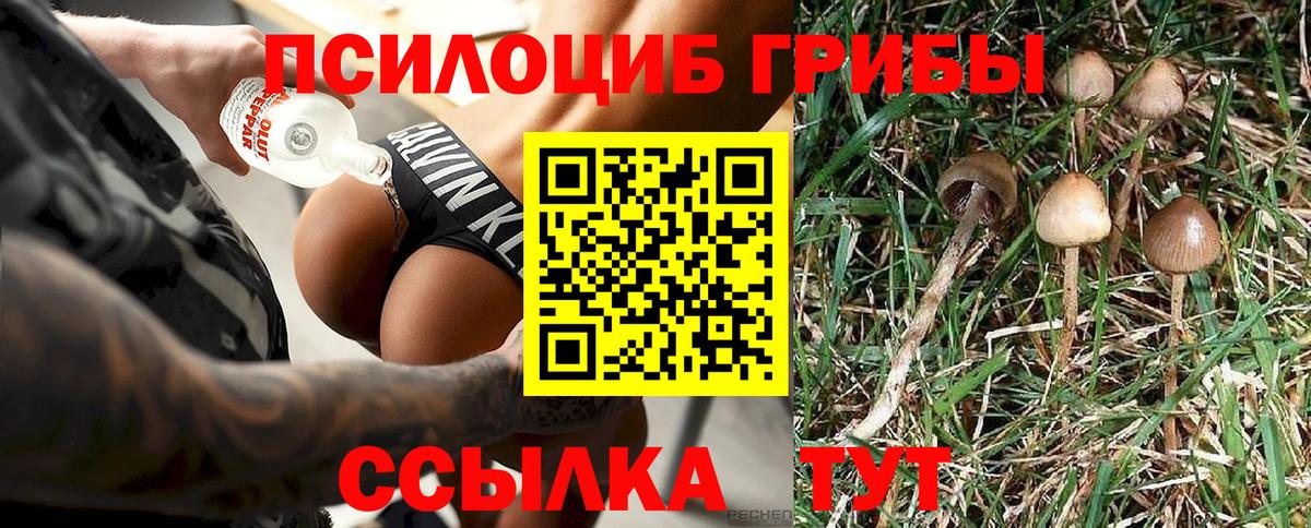 Псилоцибиновые грибы MAGIC MUSHROOMS Кингисепп