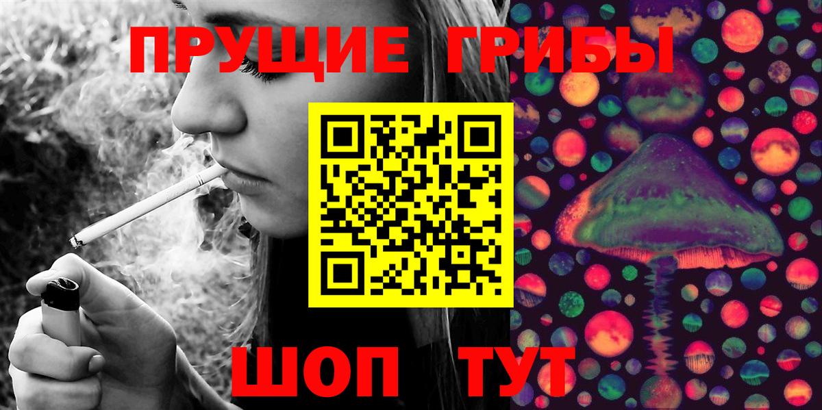 Кингисепп  Псилоцибиновые грибы MAGIC MUSHROOMS  Галлюциногенные грибы мицелий  Вход с VPN 